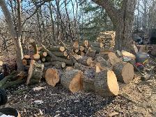 SEASONED FIREWOOD - Photo 5