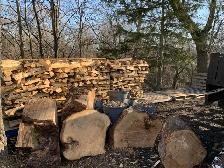 SEASONED FIREWOOD - Photo 6