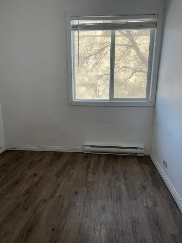 Room Near University For Rent