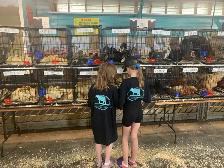 weekly fur & feather auction! - Photo 4