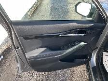 2024 Kia Seltos - Photo 15