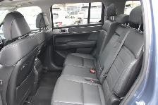 2025 Hyundai Santa Fe LUXURY AWD - Photo 10