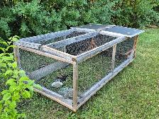 CHICKEN TRACTOR / CHICKEN RUN - Photo 2