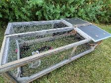 CHICKEN TRACTOR / CHICKEN RUN - Photo 5