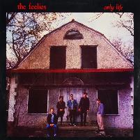 THE CURTAINS - Looking for a Keyboard / Synth Player - Photo 5