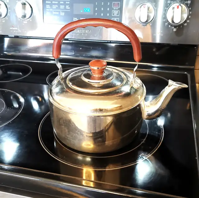 Stainless steel kettle