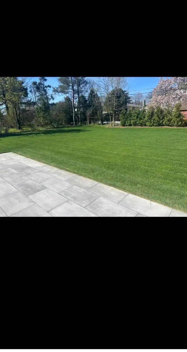 Lawn care maintenance - Photo 2