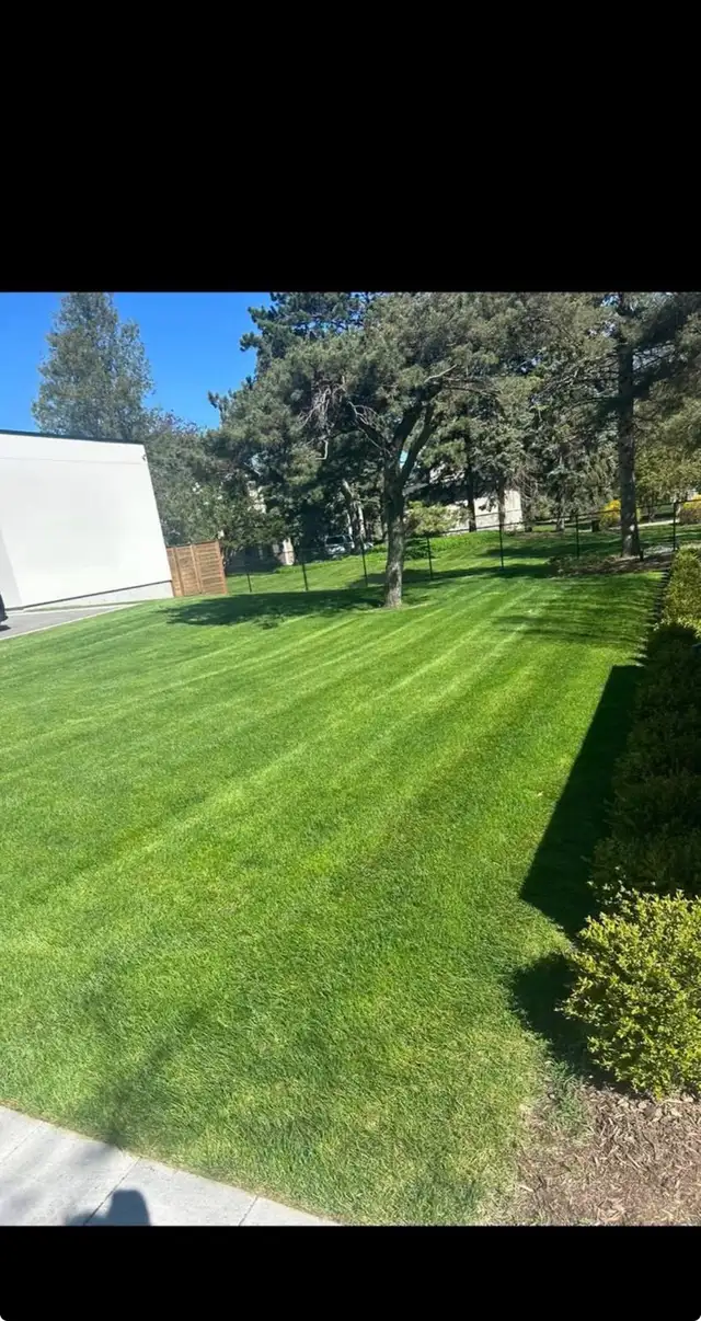 Lawn care maintenance - Photo 3
