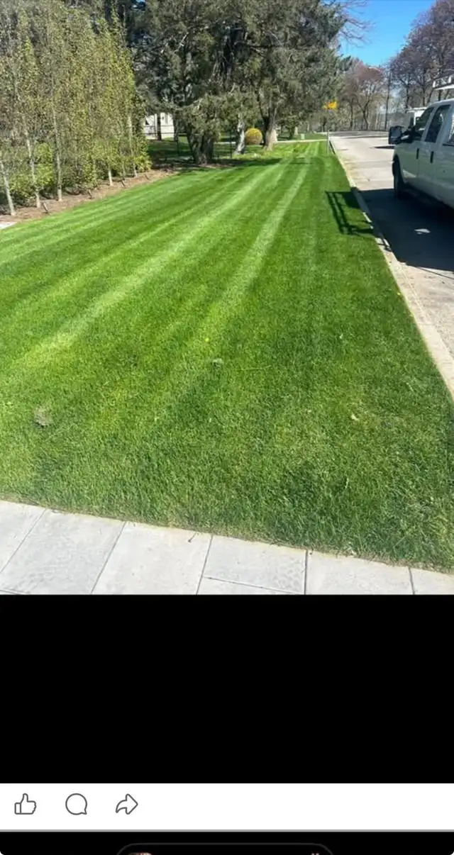 Lawn care maintenance - Photo 4