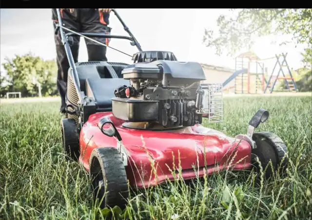 Lawn care maintenance - Photo 5