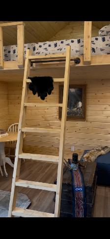 Cabin on lot in Lodge Pole for sale $68,000 - Photo 3