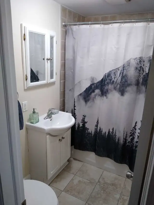 2 Beautiful 1 bedroom apartment near Downtown Ottawa - Photo 7