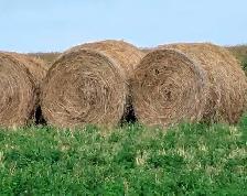 2025 covered Hay - Photo 2