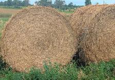 2025 covered Hay - Photo 3