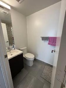 Subletting a room in a 3 bedroom apartment