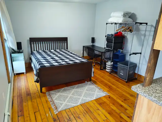 ALL INCLUSIVE RENTAL/FURNISHED Studio - Queen's & Downtown - Photo 4