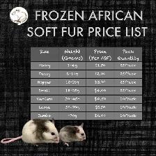 ASF Frozen Feeders - Photo 2