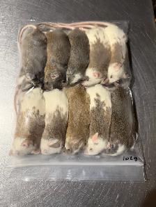 ASF Frozen Feeders - Photo 5