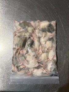 ASF Frozen Feeders - Photo 6