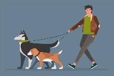 Dog Walker AVAILABLE (Not Hiring) DOWNTOWN