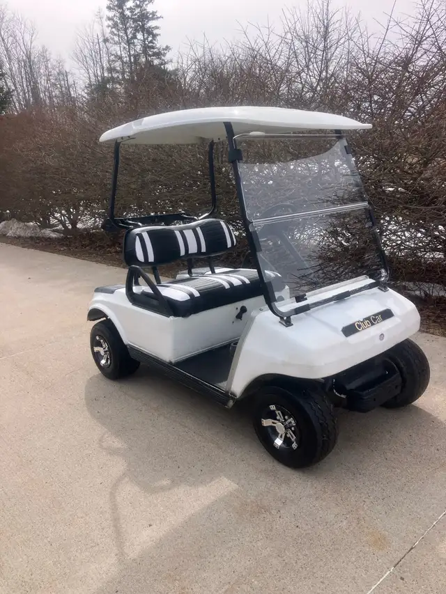 02 Clubcar DS Gas Golf Cart - Photo 4