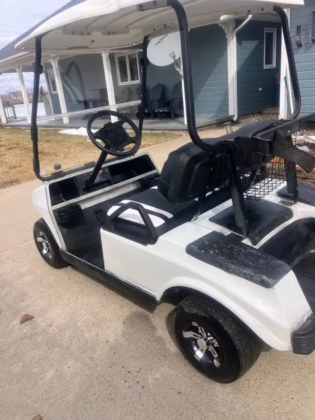 02 Clubcar DS Gas Golf Cart - Photo 5