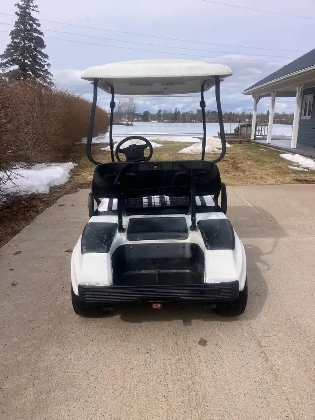 02 Clubcar DS Gas Golf Cart - Photo 6