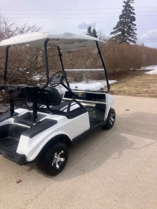 02 Clubcar DS Gas Golf Cart - Photo 7