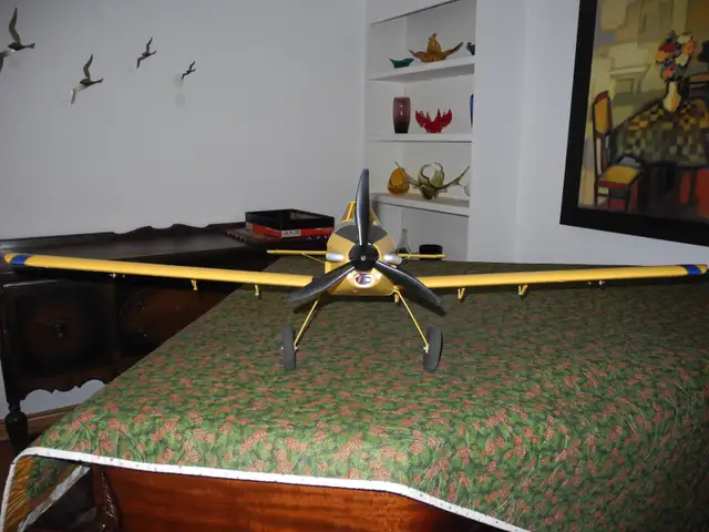 Rc Plane  E_Flite Air Tractor - Photo 4