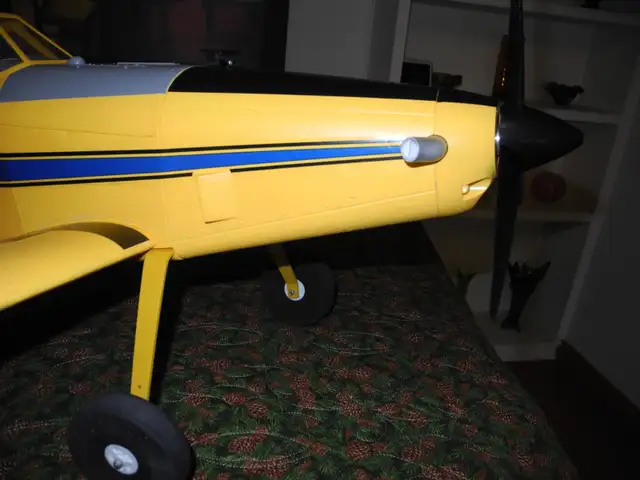 Rc Plane  E_Flite Air Tractor - Photo 5