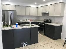 Kitchen Cabinet Painting (Sprayer)