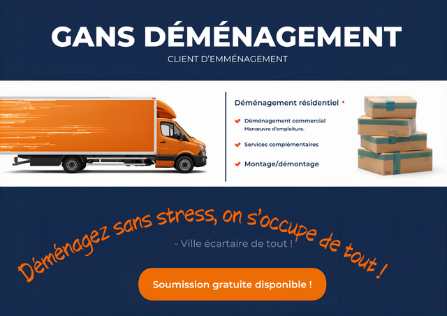 Demenegement residentiel professionnel