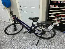 Ladies Trek Dual 2 Sport Bike