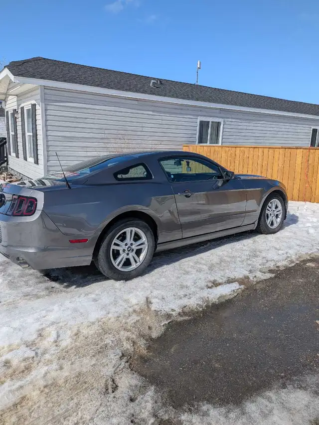 2014-Grey Ford Mustang