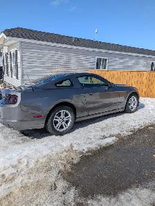 2014-Grey Ford Mustang