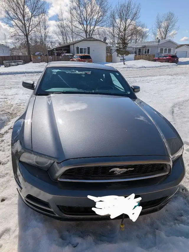 2014-Grey Ford Mustang - Photo 5