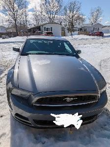 2014-Grey Ford Mustang - Photo 5