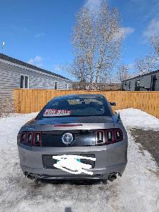 2014-Grey Ford Mustang - Photo 6