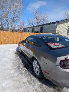 2014-Grey Ford Mustang - Photo 8