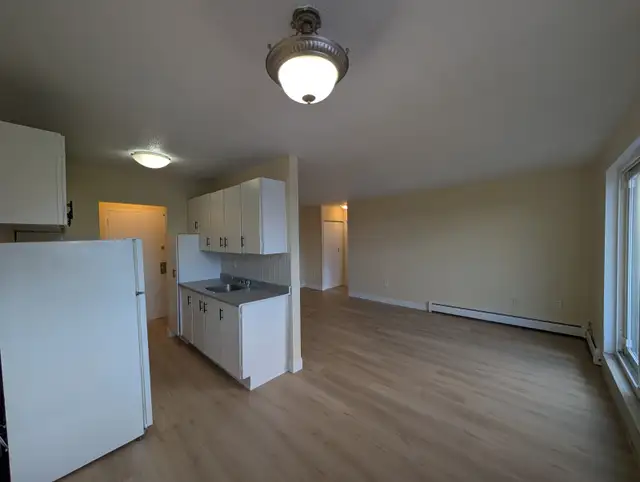 Renovated 1 Bedroom at 2685 King St E, Hamilton! - Photo 3