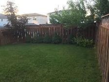 And a Great Landlord. - Photo 10