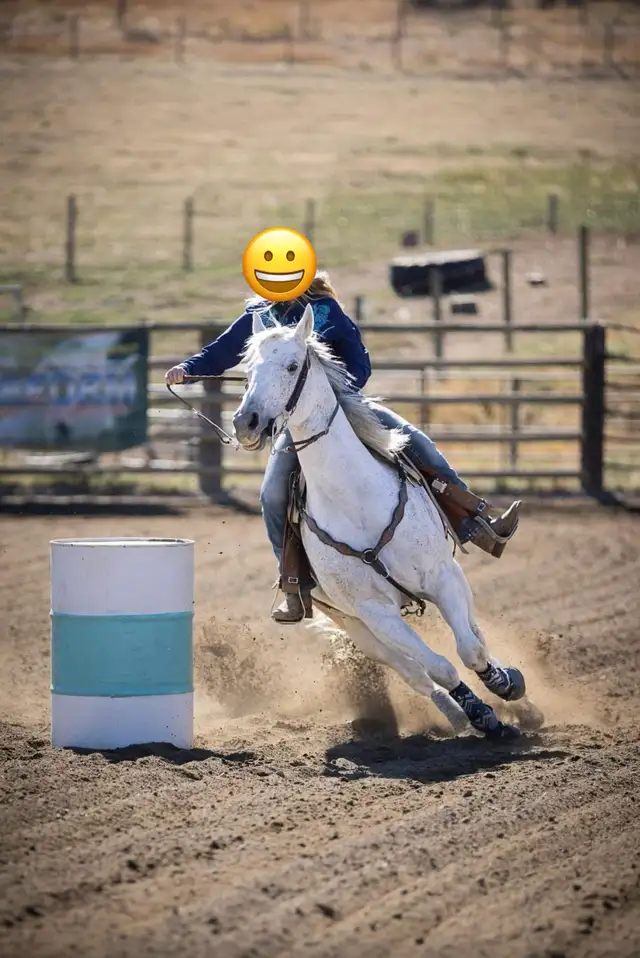 Quality AQHA Mare - Photo 6