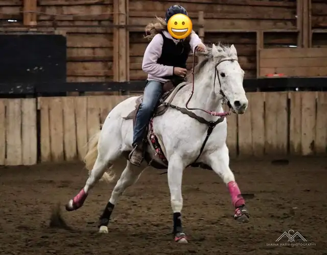 Quality AQHA Mare - Photo 7