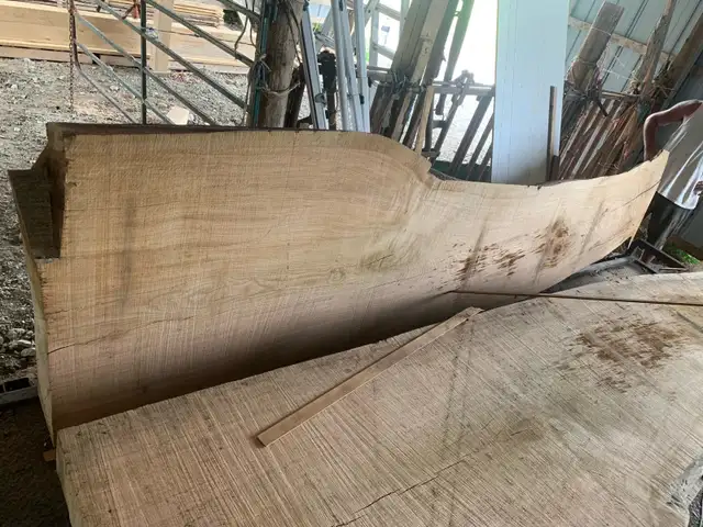 got a tree down want it milled