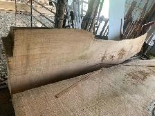 got a tree down want it milled