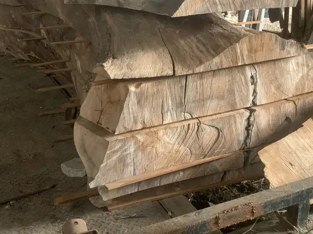 got a tree down want it milled - Photo 2