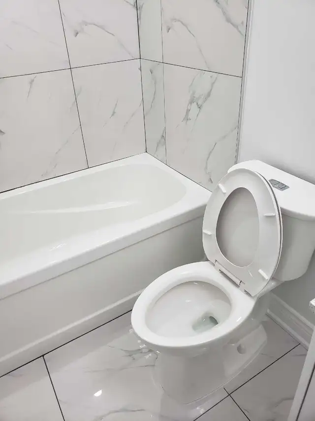 Plumbing repairs, faucet or toilet replacement