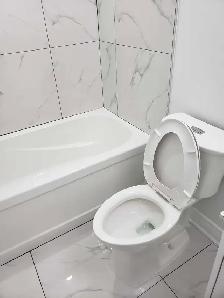 Plumbing repairs, faucet or toilet replacement