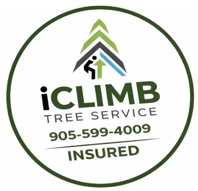 iCLIMB TREE SERVICE – Professional • Safe • Affordable