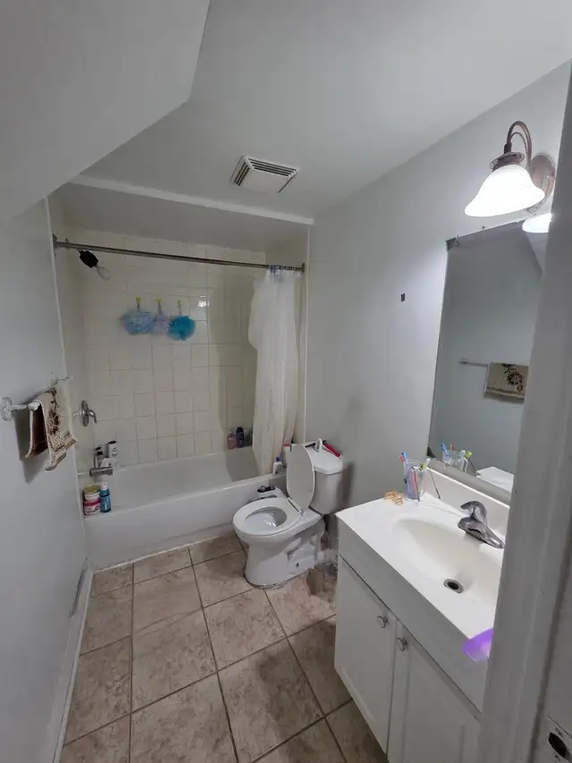 Basment Apartment - Photo 6